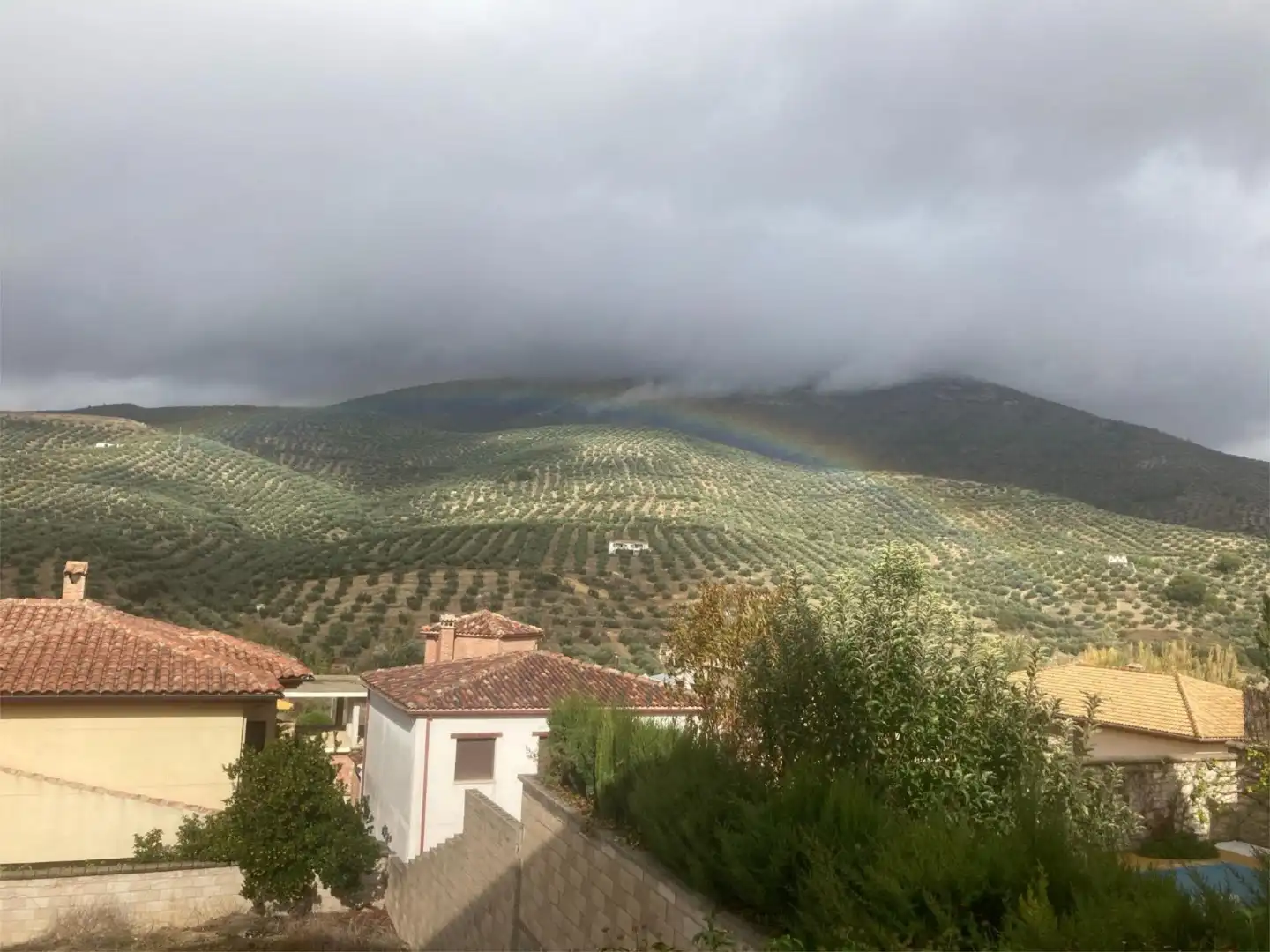 Flat for sale in Calle Reina Sofia, 11, Los Villares Garden of Flat for sale in Los Villares with Air Conditioner, Heating and Private garden