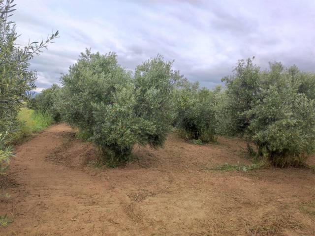 Terreno en Venta en Calle los Huertos, 29 en Las Flores - Huerta