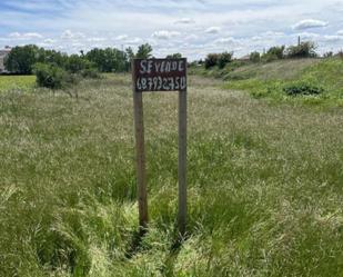 Land for sale in La Bañeza 