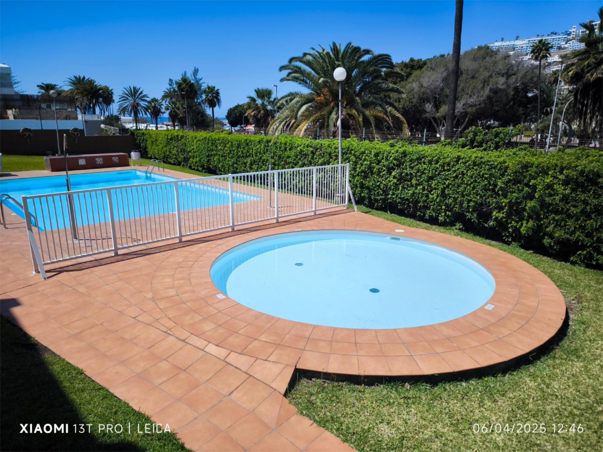 Swimming pool of Apartment to rent in Mogán