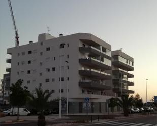 Vista exterior de Pis de lloguer en Elche / Elx amb Jardí privat, Parquet i Terrassa