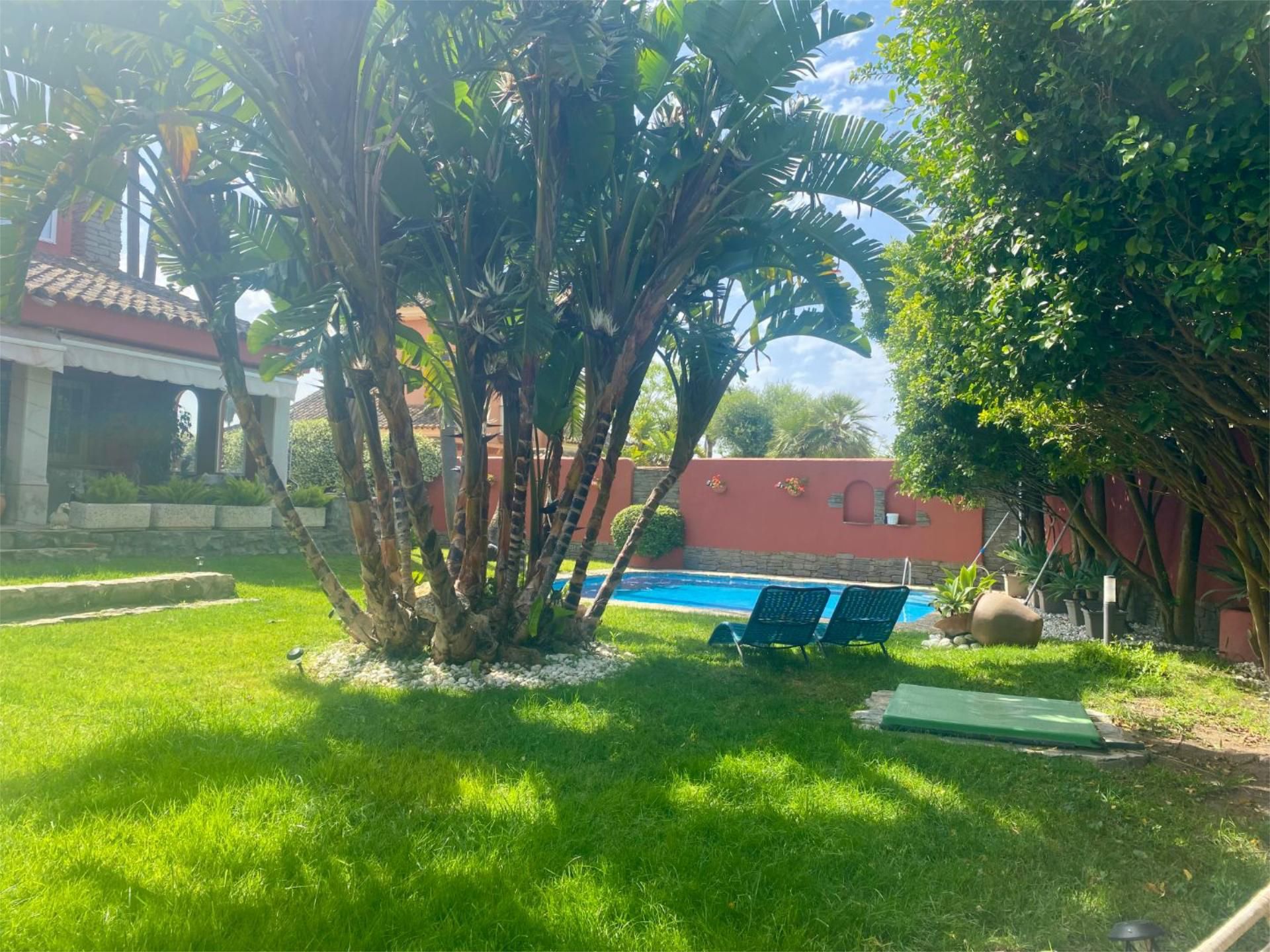 Jardí de Casa o xalet en venda en Chiclana de la Frontera amb Aire condicionat, Terrassa i Piscina