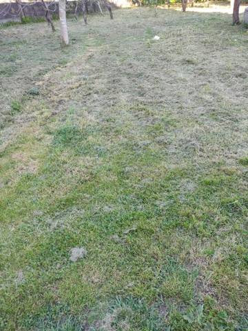 Terreno en Venta en Caseriu Costeira, 8 en Salceda de Caselas