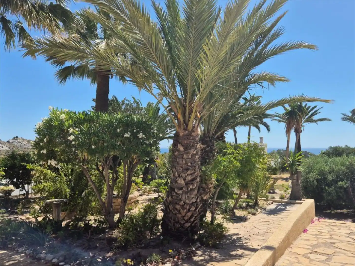 Jardí de Casa o xalet en venda en Mojácar amb Aire condicionat, Terrassa i Piscina