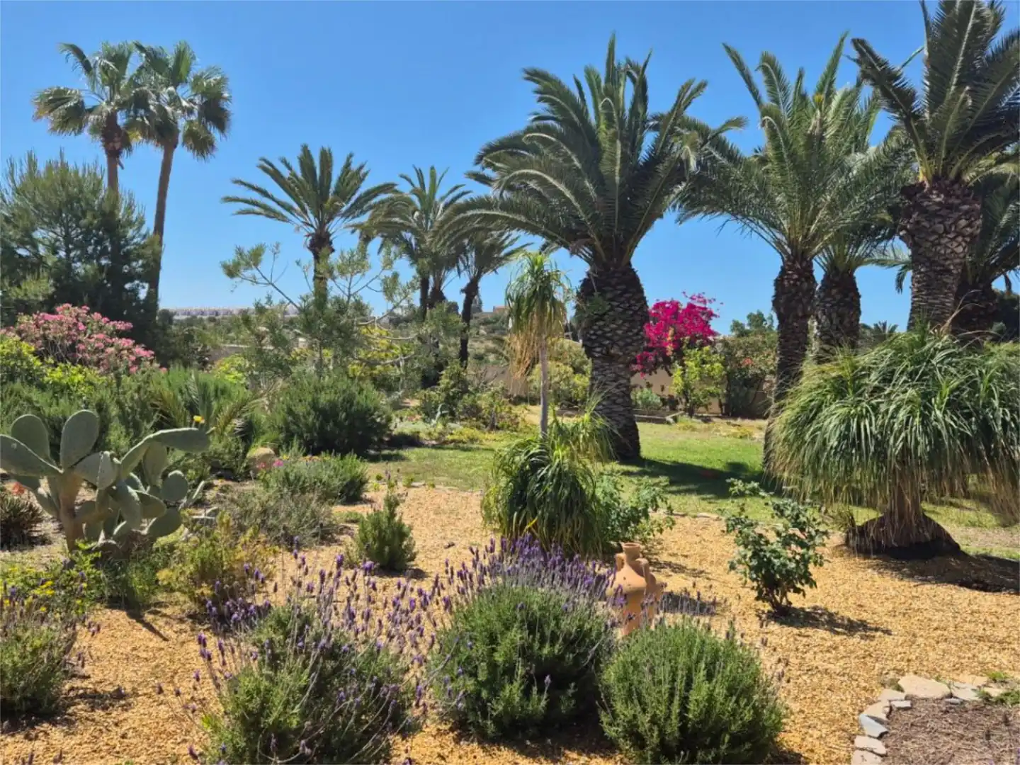 Jardí de Casa o xalet en venda en Mojácar amb Aire condicionat, Terrassa i Piscina