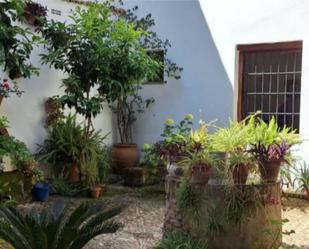 Garden of Flat to rent in  Córdoba Capital  with Air Conditioner and Furnished