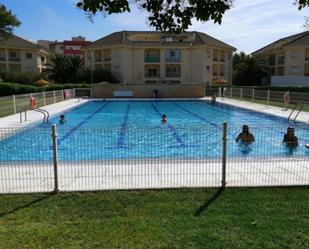 Swimming pool of Study to rent in Ciudad Real Capital  with Air Conditioner, Heating and Private garden