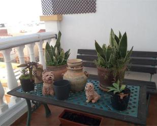 Terrassa de Apartament en venda en Vera amb Terrassa