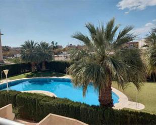 Swimming pool of Flat to rent in Roquetas de Mar  with Private garden, Terrace and Swimming Pool
