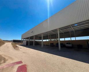 Vista exterior de Nau industrial de lloguer en Aldeaquemada