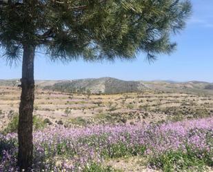 Country house to rent in Puerto Lumbreras  with Terrace and Swimming Pool