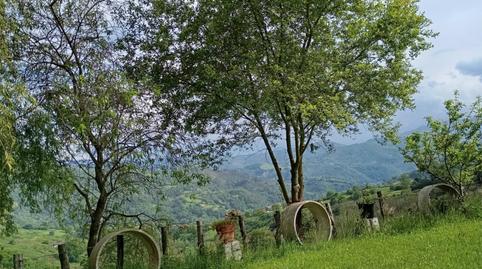 Photo 5 of Non-constructible Land for sale in Lugar el Meson, 36, Parroquias Sur - La Manjoya, Asturias