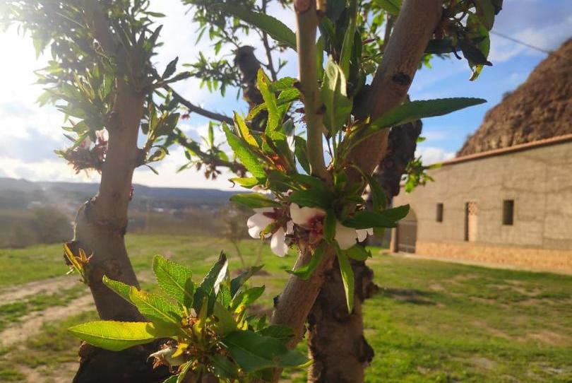 Foto 1 de Finca rústica en venta en Calle Real, 44, Fonelas, Granada