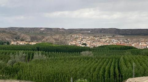 Foto 4 de Finca rústica en venta en Calle Real, 44, Fonelas, Granada