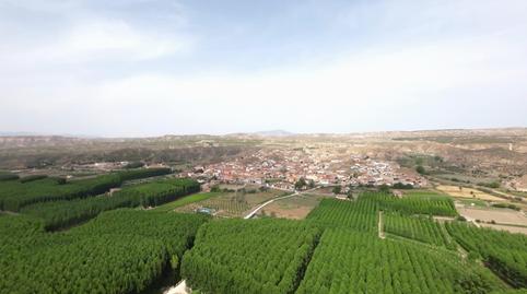 Foto 5 de Finca rústica en venta en Calle Real, 44, Fonelas, Granada