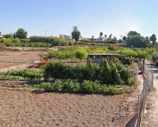 Garden of Country house for sale in Lorquí