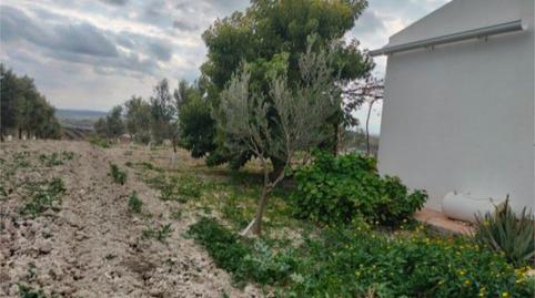 Foto 2 de Residencial en venta en Calle Cristóbal Colón, 4, Trebujena, Cádiz
