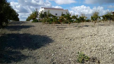 Foto 3 de Residencial en venta en Calle Cristóbal Colón, 4, Trebujena, Cádiz