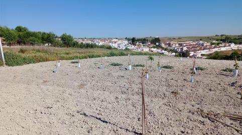 Foto 5 de Residencial en venta en Calle Cristóbal Colón, 4, Trebujena, Cádiz