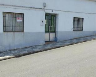 Exterior view of House or chalet for sale in Almadenejos  with Private garden and Furnished