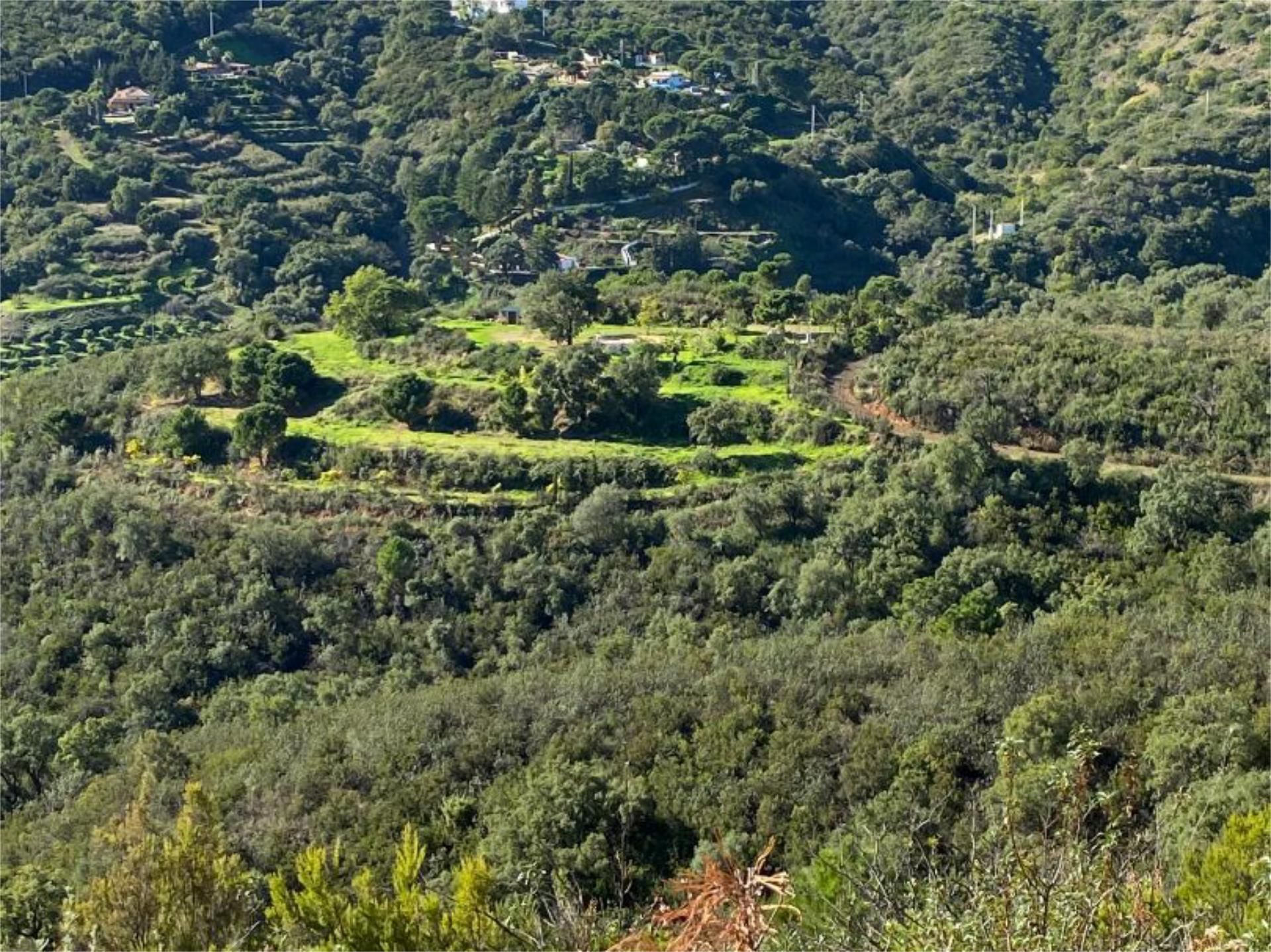 Non-constructible Land for sale in Estepona