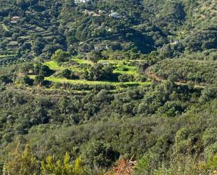 Non-constructible Land for sale in Estepona