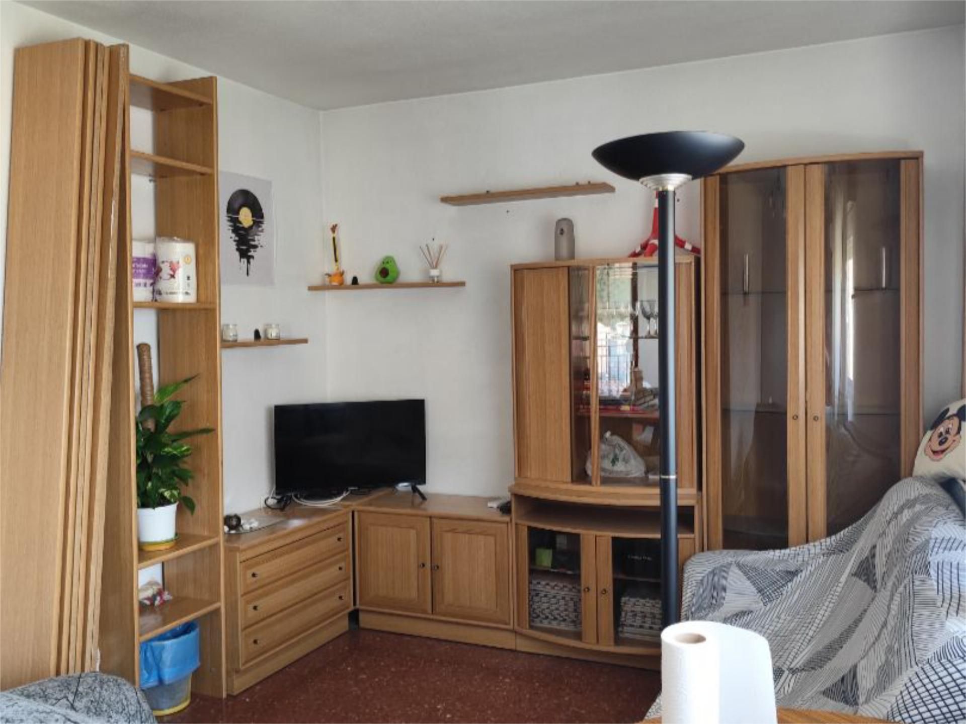 Sala d'estar de Pis per a compartir en  Granada Capital amb Aire condicionat, Jardí privat i Moblat