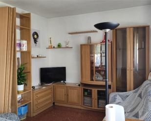Living room of Flat to share in  Granada Capital  with Air Conditioner, Private garden and Furnished