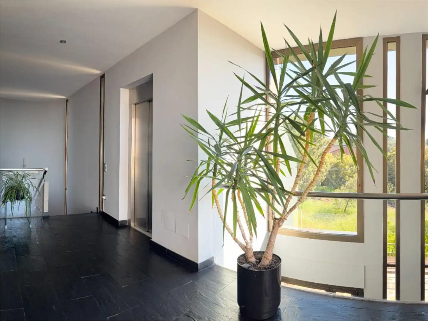 Casa o chalet en venta en Calle Chaparro, 19, El Peñalar - Arroyo de Trofas - Montealegre Casa o chalet en venta en Torrelodones con Calefacción, Jardín privado y Terraza