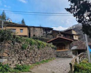 Exterior view of House or chalet for sale in Quirós