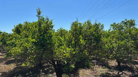 No Urbanitzable en venda a Camí de Velasco, 7, Urbanitzacions i Pedanies Nord, Valencia - imatge 2 Foto 2 de No Urbanitzable en venda a Camí de Velasco, 7, Urbanitzacions i Pedanies Nord, Valencia
