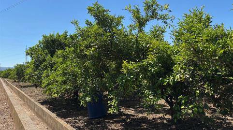 No Urbanitzable en venda a Camí de Velasco, 7, Urbanitzacions i Pedanies Nord, Valencia - imatge 3 Foto 3 de No Urbanitzable en venda a Camí de Velasco, 7, Urbanitzacions i Pedanies Nord, Valencia