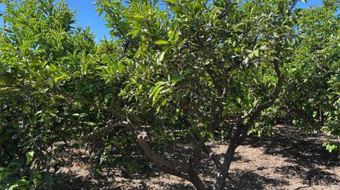 No Urbanitzable en venda a Camí de Velasco, 7, Urbanitzacions i Pedanies Nord, Valencia - imatge 4 Foto 4 de No Urbanitzable en venda a Camí de Velasco, 7, Urbanitzacions i Pedanies Nord, Valencia