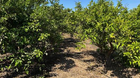 No Urbanitzable en venda a Camí de Velasco, 7, Urbanitzacions i Pedanies Nord, Valencia - imatge 5 Foto 5 de No Urbanitzable en venda a Camí de Velasco, 7, Urbanitzacions i Pedanies Nord, Valencia