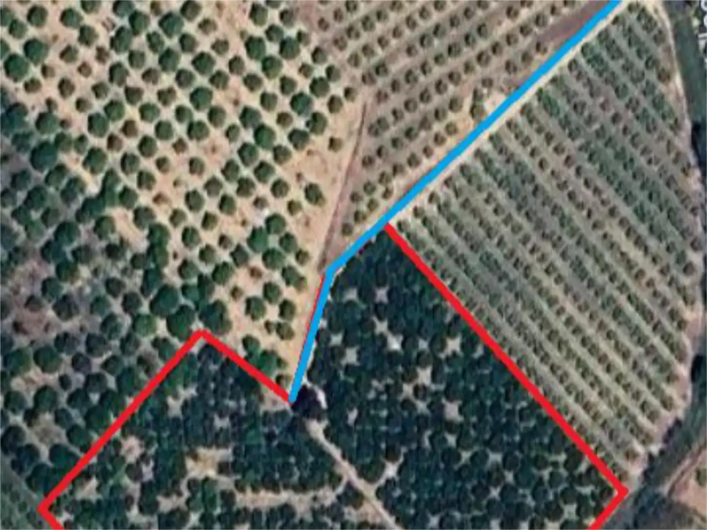 Non-constructible Land for sale in Camí de Velasco, 7, Urbanitzacions i Pedanies Nord Non-constructible Land for sale in Alzira