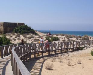 Vista exterior de Pis de lloguer en Chiclana de la Frontera amb Jardí privat, Terrassa i Piscina