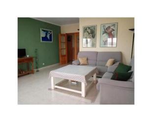 Flat to rent in Moraleja
