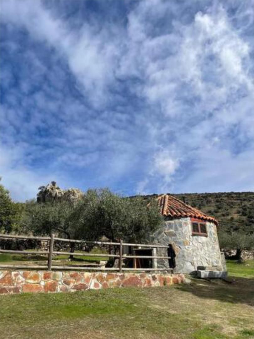 Vista exterior de Casa o xalet en venda en Zorita amb Jardí privat