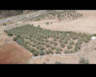 Non-constructible Land for sale in Carratraca