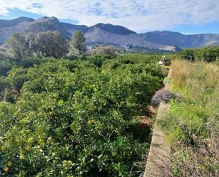 Land for sale in Adsubia