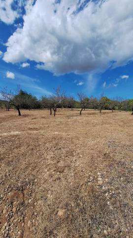 Terreno en Venta en Carrer de la Rosa, 2 en El Perelló