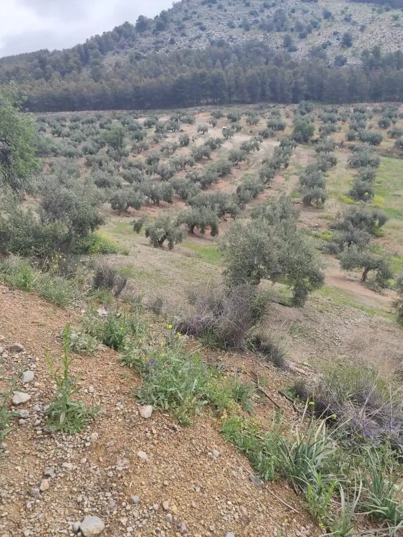 Grundstücke zum Verkauf in Camino Santa Catalina, 22, Alcaudete Grundstücke zum Verkauf in Alcaudete