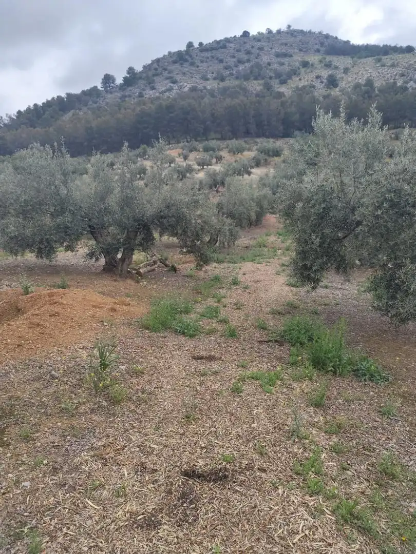 Grundstücke zum Verkauf in Camino Santa Catalina, 22, Alcaudete Grundstücke zum Verkauf in Alcaudete