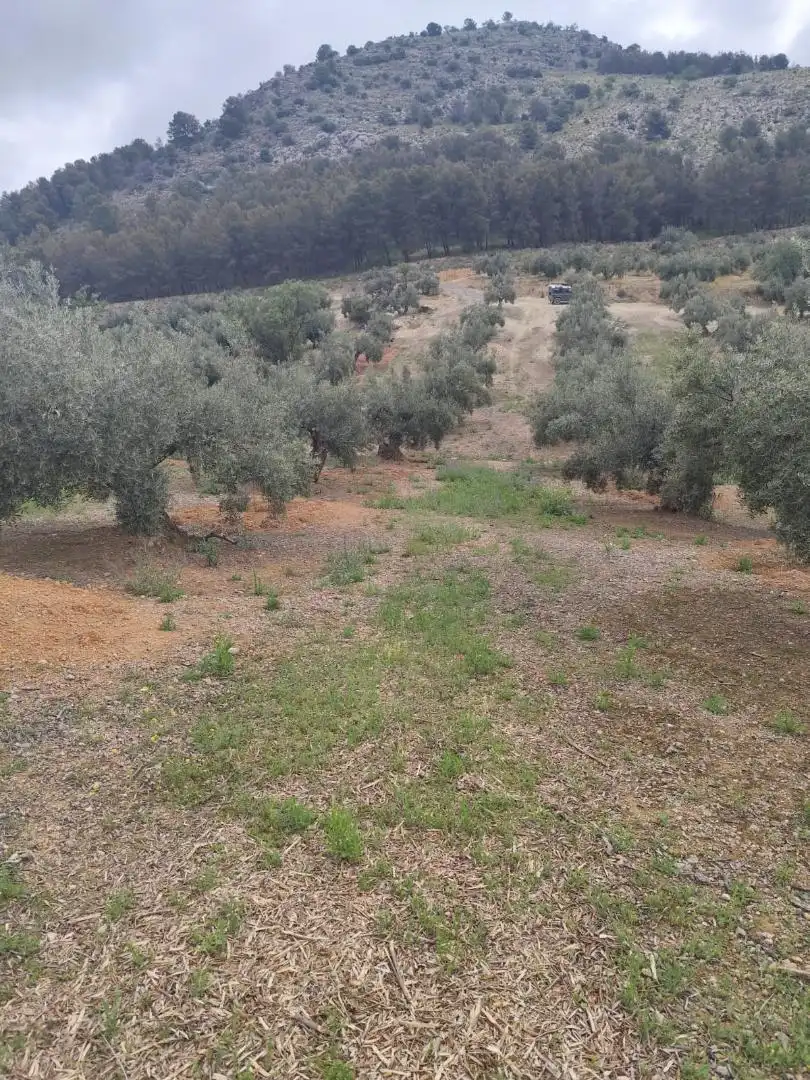 Grundstücke zum Verkauf in Camino Santa Catalina, 22, Alcaudete Grundstücke zum Verkauf in Alcaudete