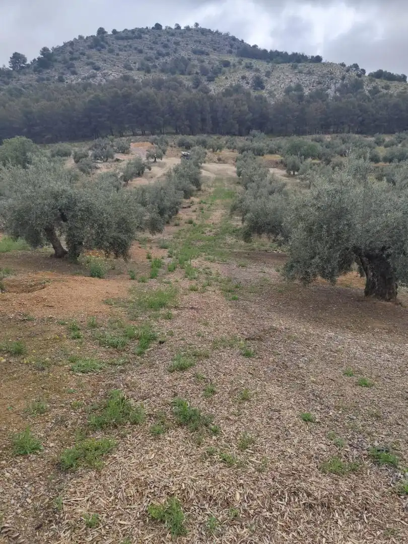 Grundstücke zum Verkauf in Camino Santa Catalina, 22, Alcaudete Grundstücke zum Verkauf in Alcaudete