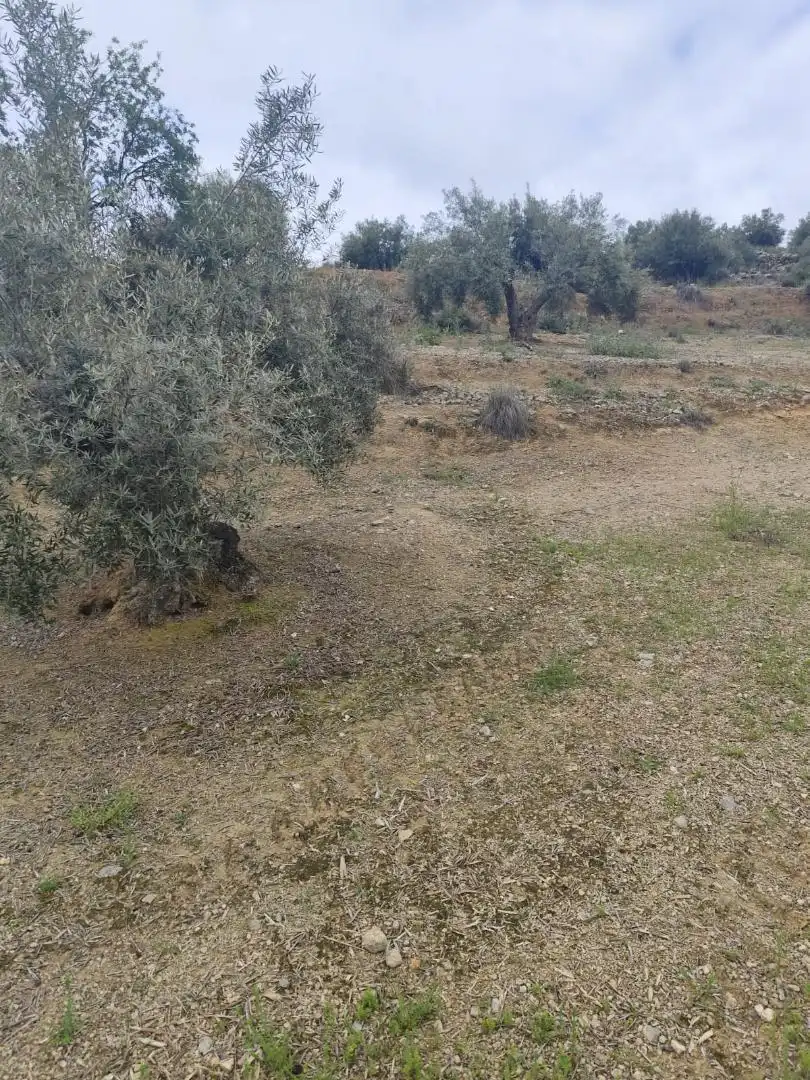 Grundstücke zum Verkauf in Camino Santa Catalina, 22, Alcaudete Grundstücke zum Verkauf in Alcaudete