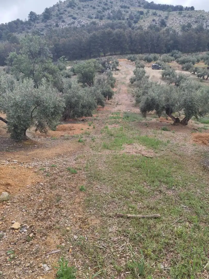 Grundstücke zum Verkauf in Camino Santa Catalina, 22, Alcaudete Grundstücke zum Verkauf in Alcaudete