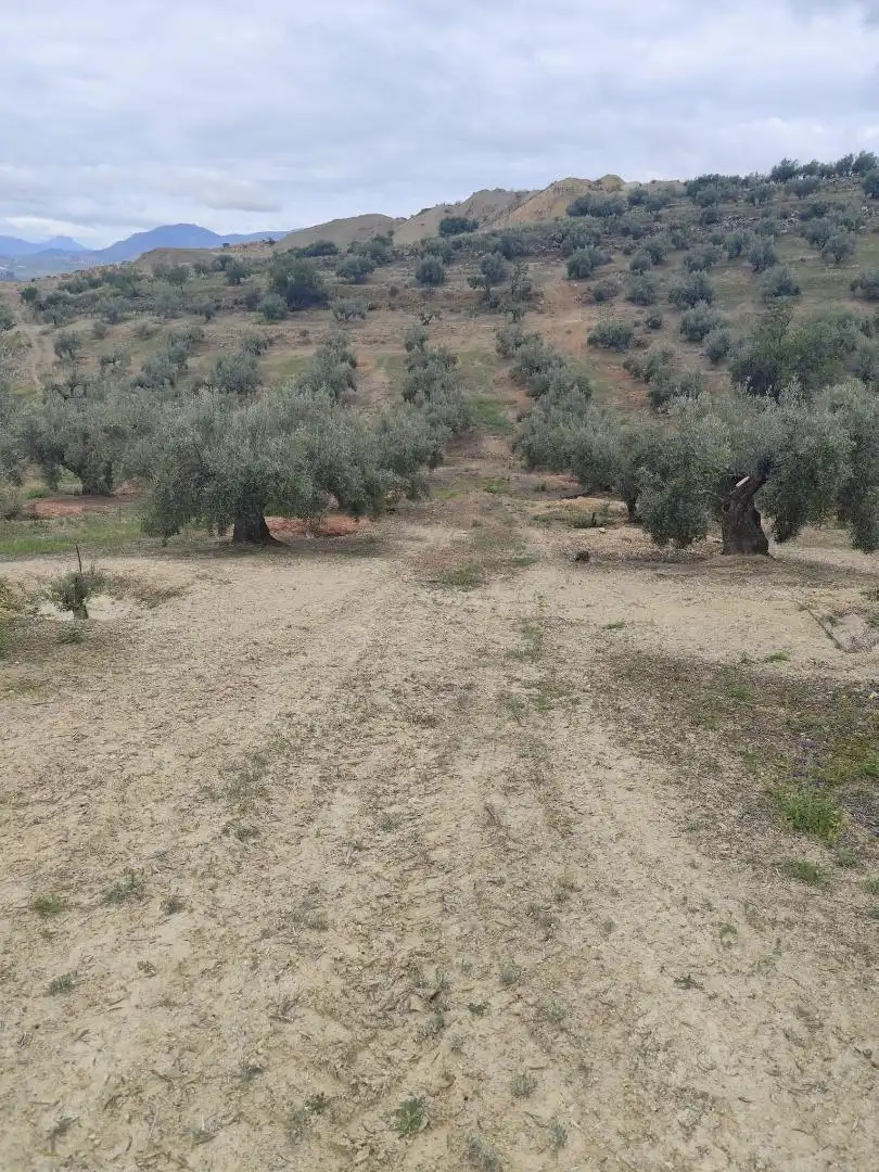 Grundstücke zum Verkauf in Camino Santa Catalina, 22, Alcaudete Grundstücke zum Verkauf in Alcaudete