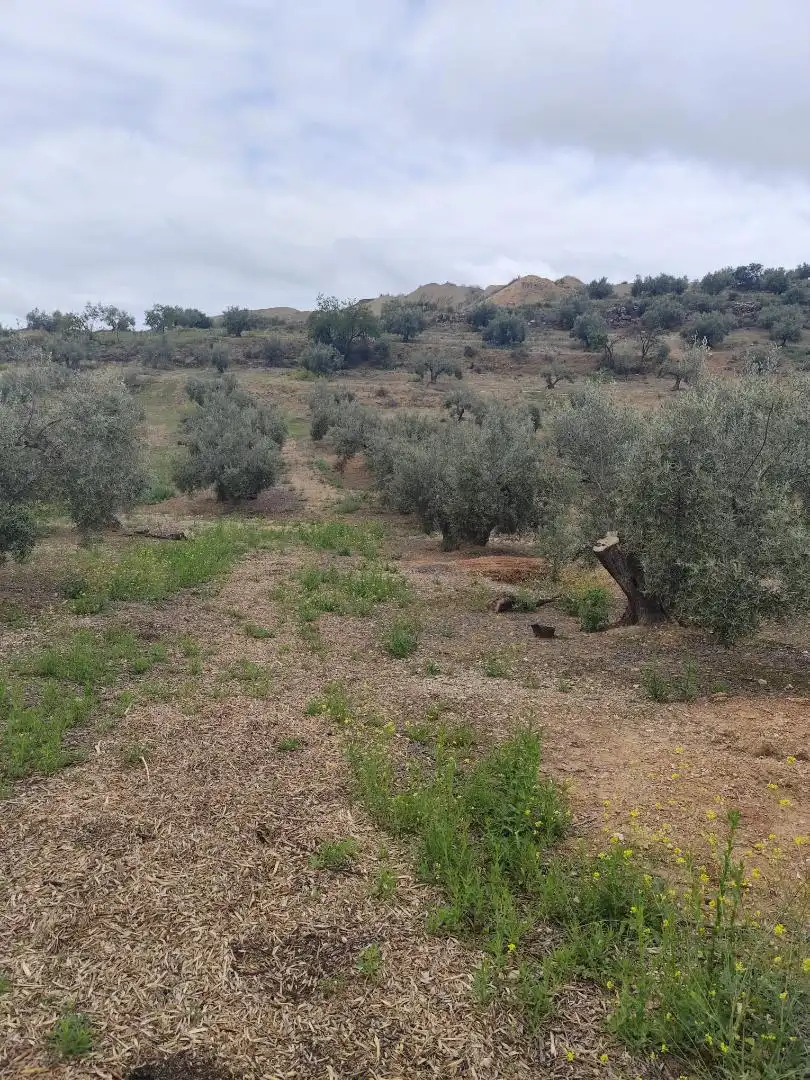 Grundstücke zum Verkauf in Camino Santa Catalina, 22, Alcaudete Grundstücke zum Verkauf in Alcaudete