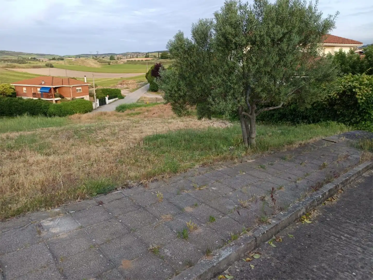 Constructible Land for sale in Arbancón